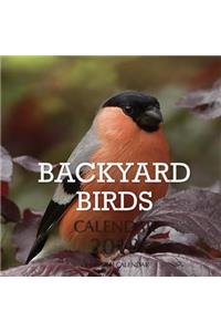 Backyard Birds Calendar 2019
