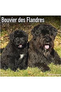 Bouvier Des Flandres Calendar 2018