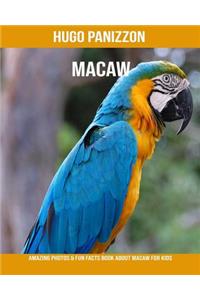 Macaw