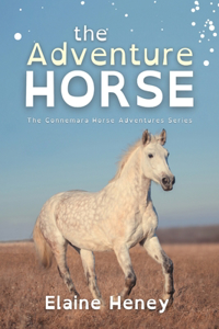 Adventure Horse - Dyslexia Friendly