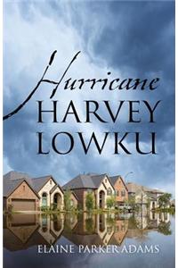 Hurricane Harvey Lowku