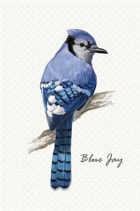 Blue Jay