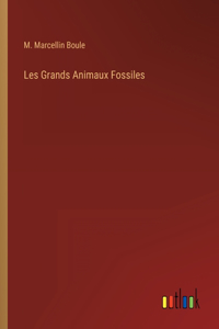 Les Grands Animaux Fossiles