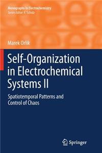 Self-Organization in Electrochemical Systems II