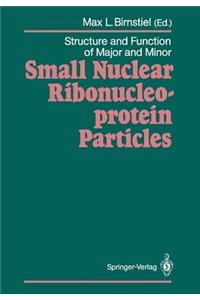Structure and Function of Major and Minor Small Nuclear Ribonucleoprotein Particles