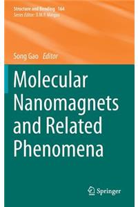 Molecular Nanomagnets and Related Phenomena