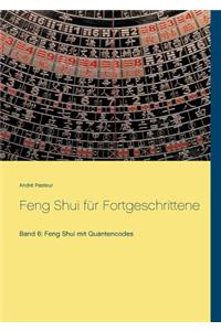 Feng Shui für Fortgeschrittene
