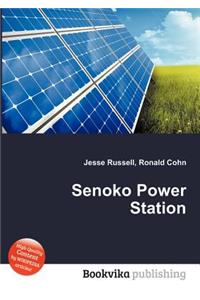 Senoko Power Station