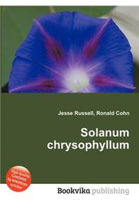 Solanum Chrysophyllum