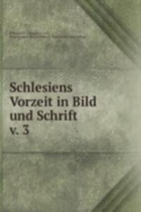 Schlesiens Vorzeit in Bild und Schrift