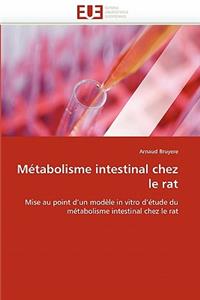 Métabolisme Intestinal Chez Le Rat