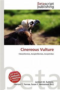 Cinereous Vulture