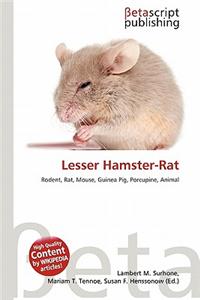 Lesser Hamster-Rat