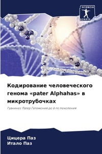 Кодирование человеческого генома pater Alphahas в мl