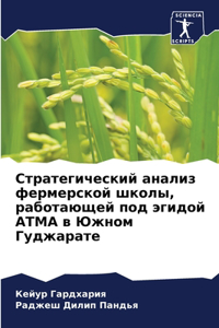 Стратегический анализ фермерской школы