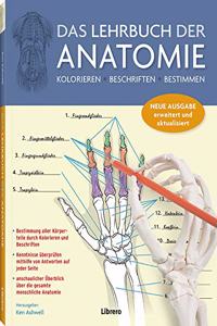 Das Lehrbuch der Anatomie: Kolorieren Beschriften Bestimmen