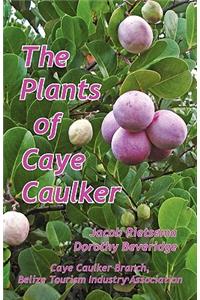 The Plants of Caye Caulker