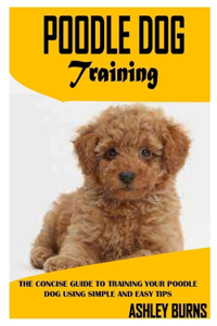 Poodle Dog Training
