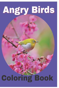 Angry Birds Coloring Book