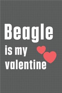 Beagle is my valentine