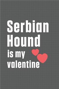 Serbian Hound is my valentine