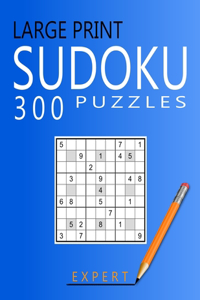 Large Print Expert Sudoku Puzzles