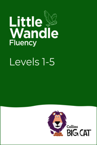 Big Cat for Little Wandle Fluency Sets