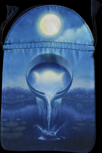Silver Witchcraft Tarot Satin Bag