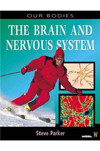 Brain and Nervous System