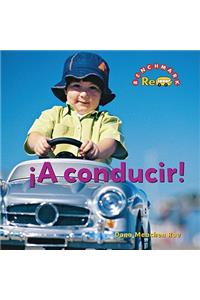 ¡A Conducir! (Driving)