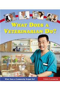 What Does a Veterinarian Do?