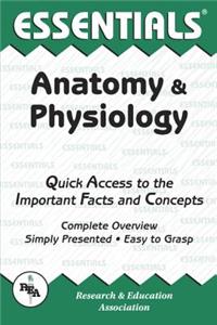 Anatomy and Physiology Essentials