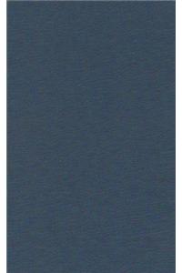 Compendium Theologiae Positivae III