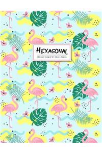 Organic Chemistry Hexagonal Graph Paper