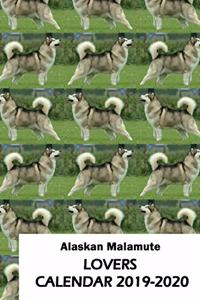 Alaskan Malamute Lovers Calendar 2019-2020