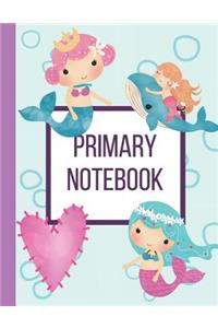 Primary Notebook