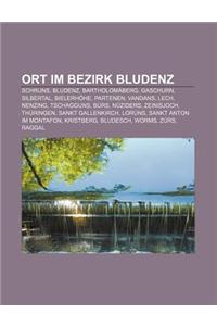 Ort Im Bezirk Bludenz