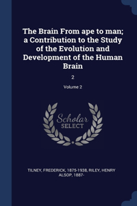 The Brain From ape to man; a Contribution to the Study of the Evolution and Development of the Human Brain
