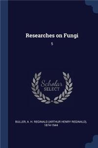 Researches on Fungi