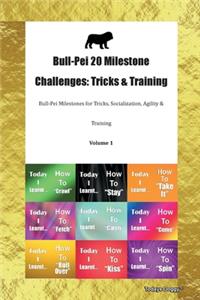 Bull-Pei 20 Milestone Challenges