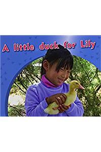 Little Duck for Lily