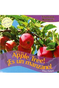 It's an Apple Tree! / ¡Es Un Manzano!