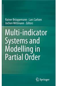 Multi-Indicator Systems and Modelling in Partial Order