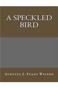 A Speckled Bird