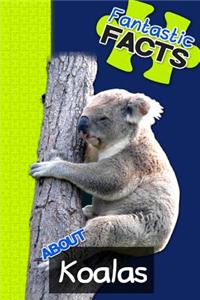 Fantastic Facts about Koalas