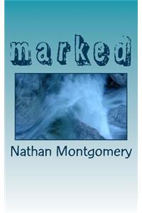 marked: a book on baptism