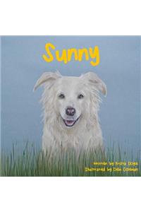 Sunny