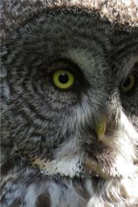 Great Grey Owl with Piercing Stare Journal