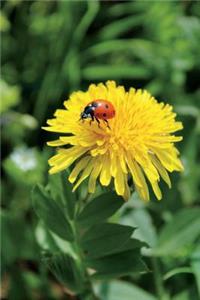 Ladybug and Dandelion Journal (Ladybird): 150 Page Lined Notebook/Diary