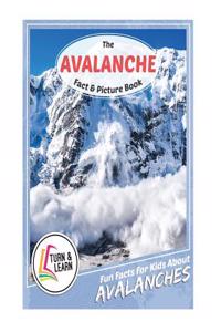 The Avalanche Fact and Picture Book: Fun Facts for Kids about Avalanches